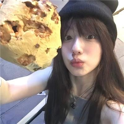 工程师普赖特的方案